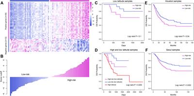 Multidimensional difference analysis in gastric cancer patients between high and low latitude